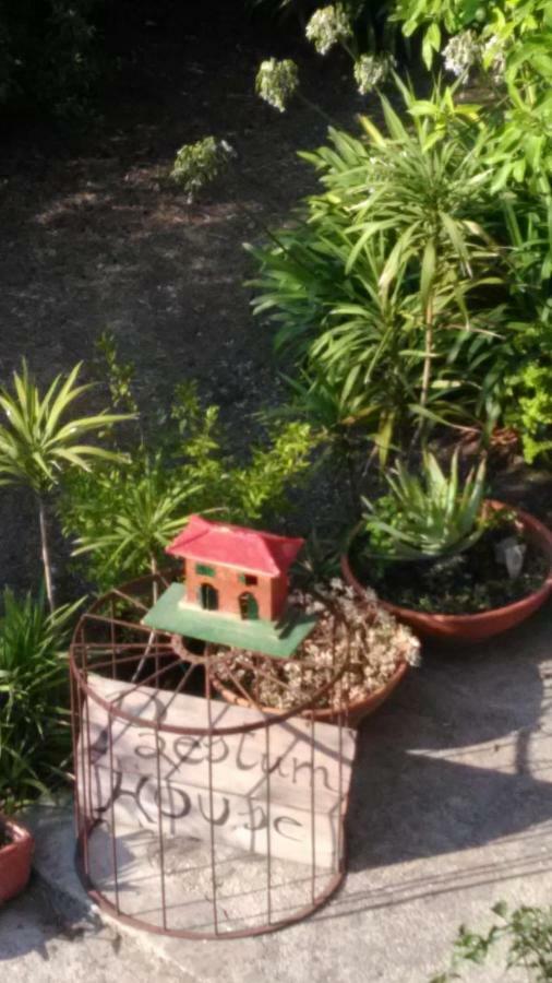 Paestum House Bed & Breakfast エクステリア 写真