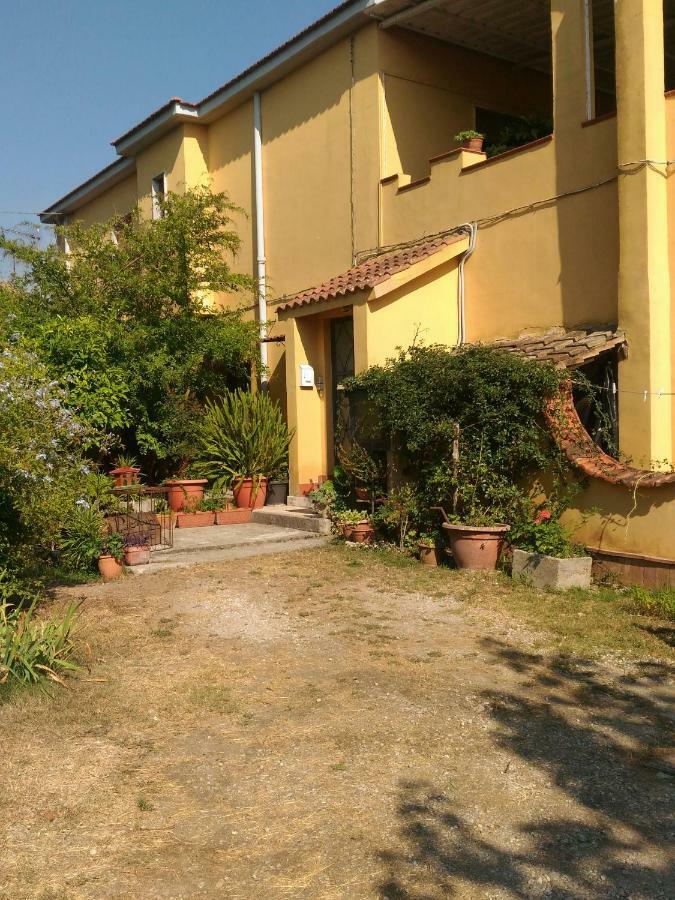 Paestum House Bed & Breakfast エクステリア 写真