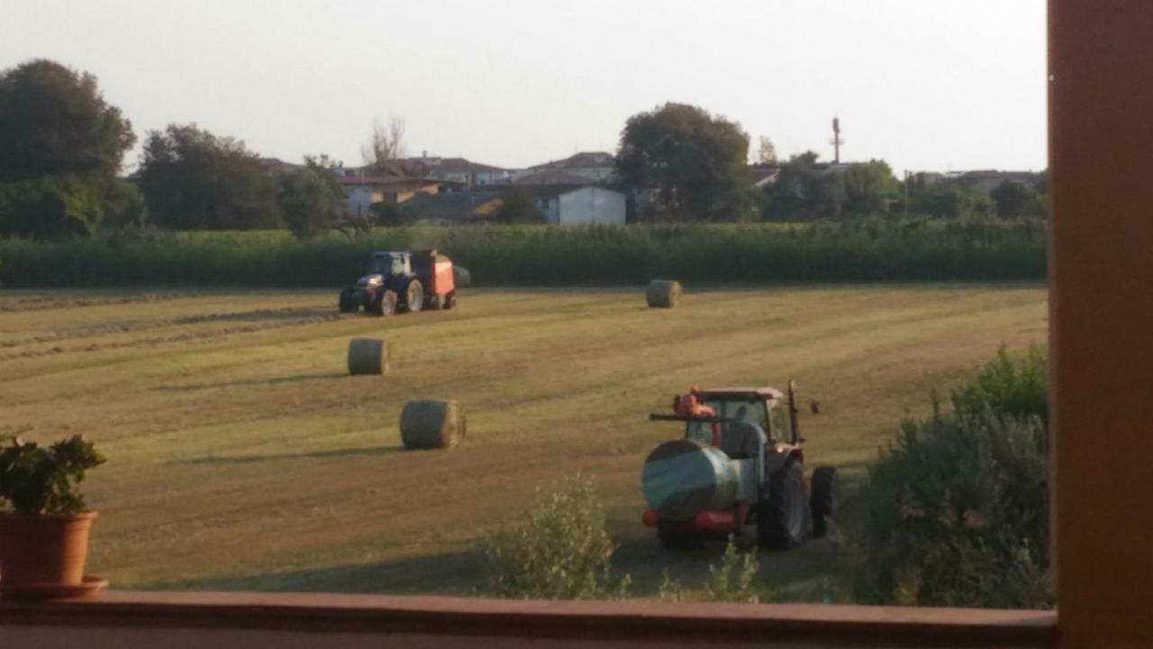 Paestum House Bed & Breakfast エクステリア 写真